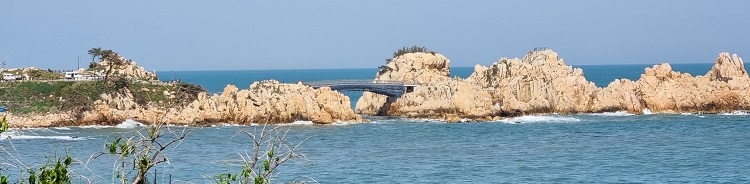 나 홀로 50km 걷기대회