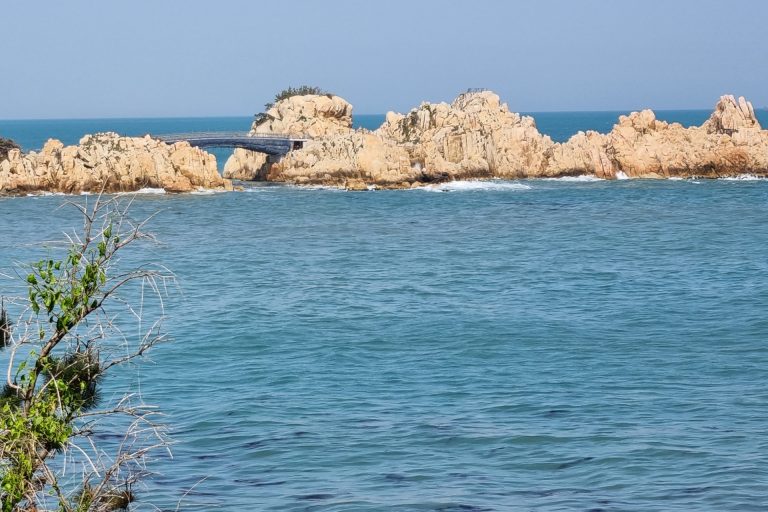 나 홀로 50km 걷기대회