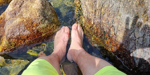 나 홀로 50km 걷기대회