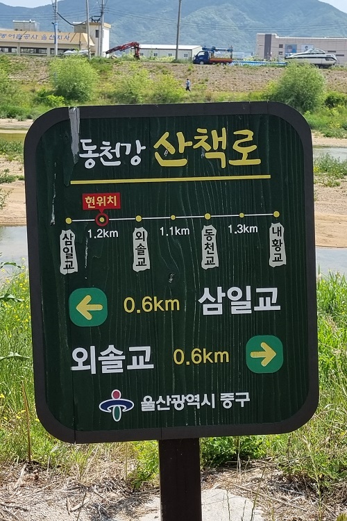 나 홀로 50km 걷기대회