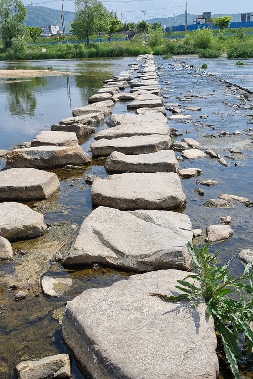 나 홀로 50km 걷기대회