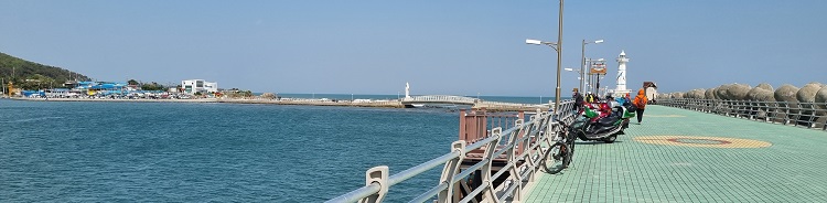 나 홀로 50km 걷기대회