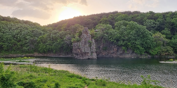 나 홀로 50km 걷기대회