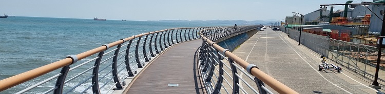 나 홀로 50km 걷기대회