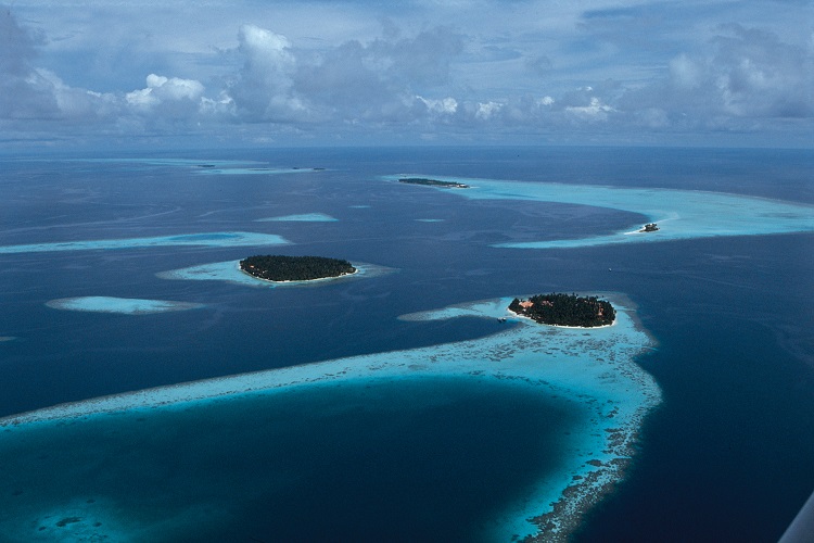 작은 섬 몰디브의 큰 목소리