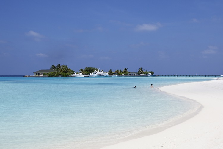 작은 섬 몰디브의 큰 목소리