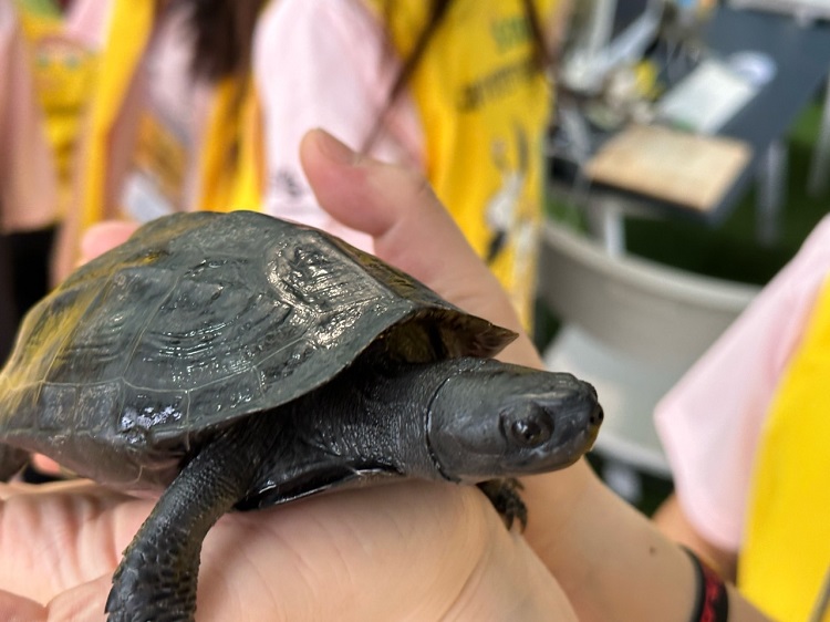 S-OIL 대학생 천연기념물 지킴이단 활동 후기