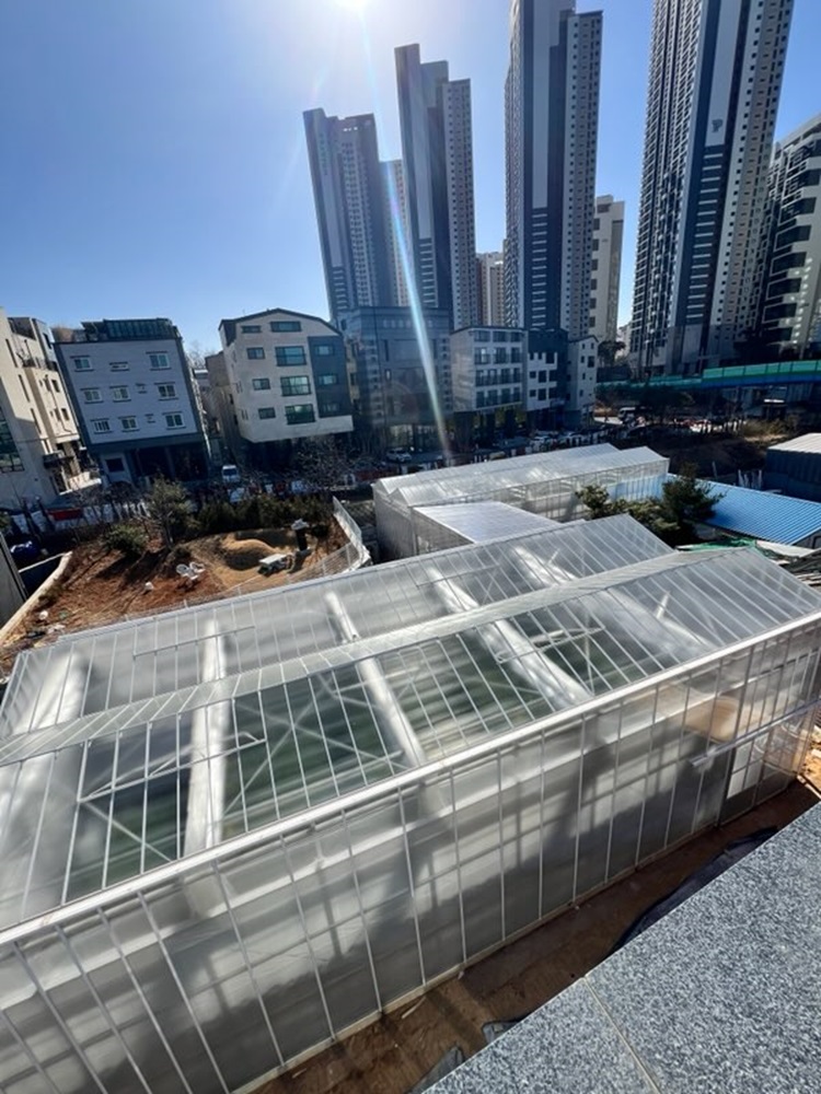 딸기 농사를 친환경 도시 예술로 가꾸는 ‘주바로티’