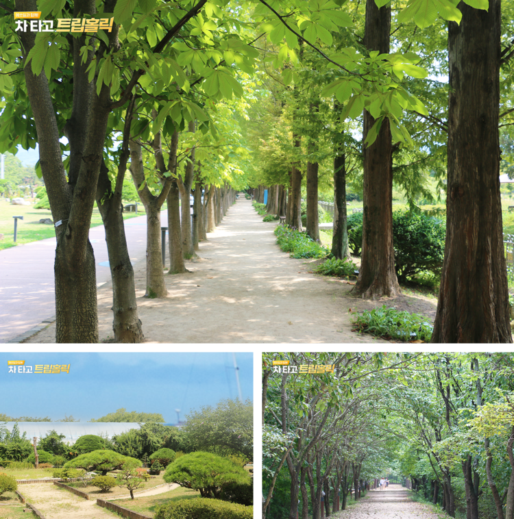 초가을 맑은 하늘을 보면서 걷기 좋은 곳! 경주 당일치기 여행코스 추천