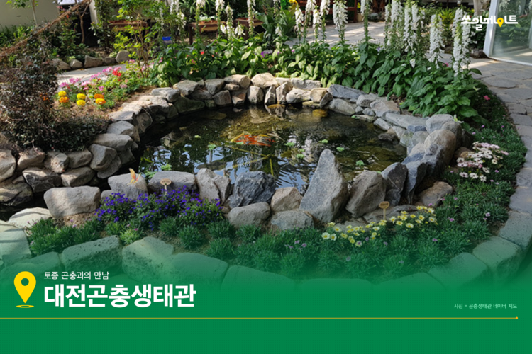 과학 속의 과학! 자연유산 가득한 대전에서 만나요