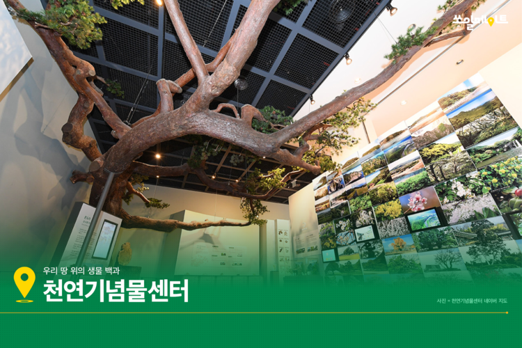 과학 속의 과학! 자연유산 가득한 대전에서 만나요