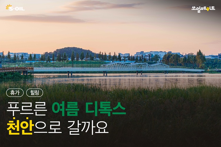 푸르른 여름 디톡스, 천안으로 갈까요