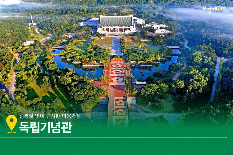 푸르른 여름 디톡스, 천안으로 갈까요