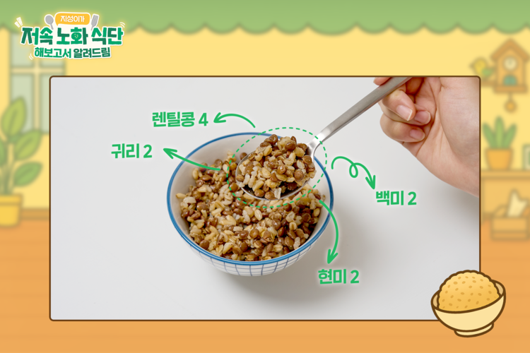 지성이가 저속노화 식단 해보고서 알려드림