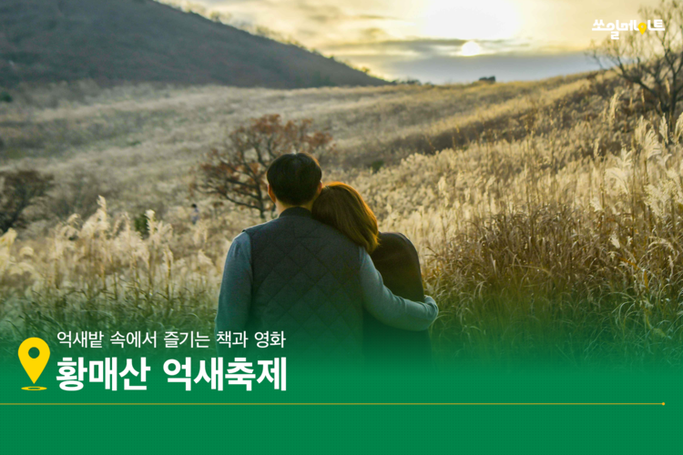 바람 따라 빛 따라 걷는 가을 억새 찾아 떠나요