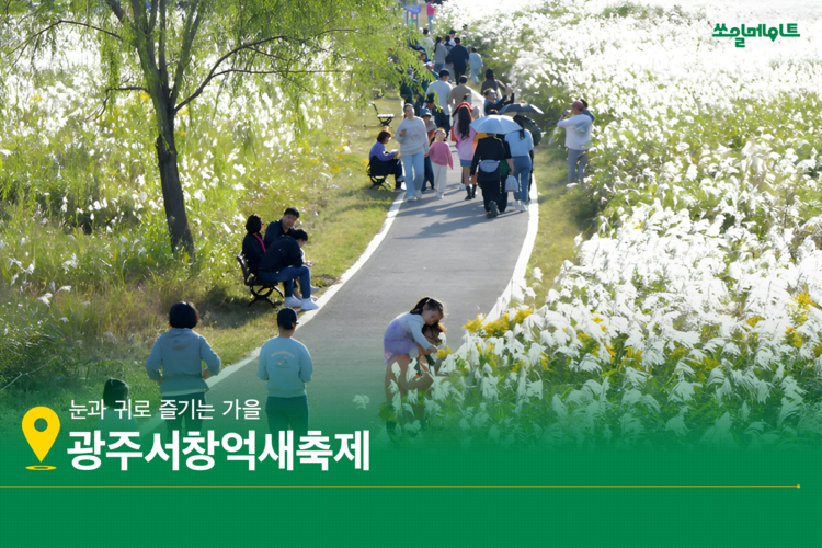 바람 따라 빛 따라 걷는 가을 억새 찾아 떠나요