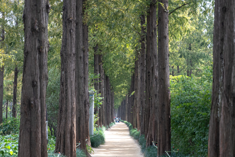 에쏘일 가까이서 즐기는 트레킹, 떠나볼까요?