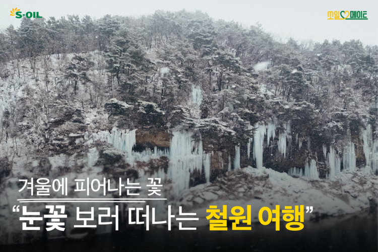 겨울에 피어나는 꽃, 눈꽃 보러 떠나는 철원 여행