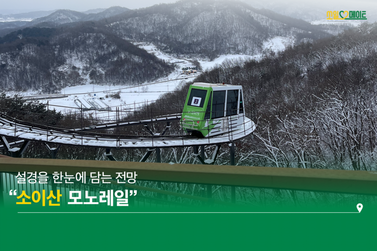 겨울에 피어나는 꽃, 눈꽃 보러 떠나는 철원 여행