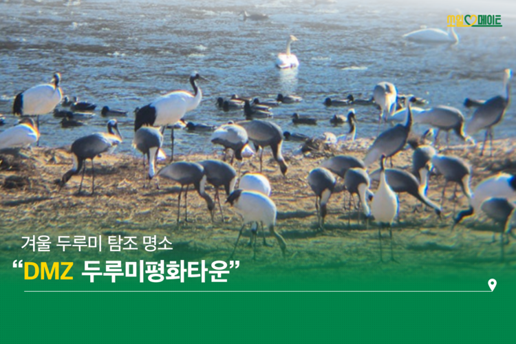 겨울에 피어나는 꽃, 눈꽃 보러 떠나는 철원 여행