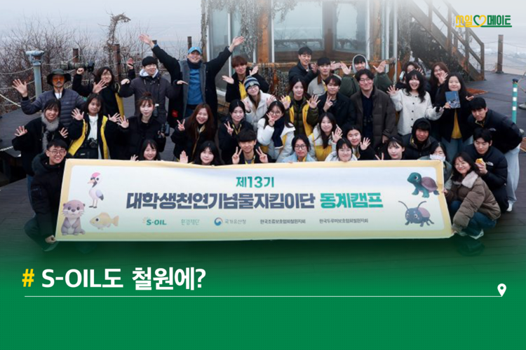 겨울에 피어나는 꽃, 눈꽃 보러 떠나는 철원 여행