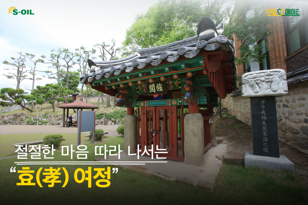 절절한 마음 따라 나서는 효(孝) 여정 대표 이미지