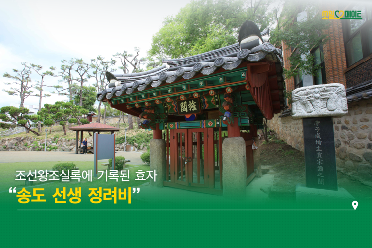 절절한 마음 따라 나서는 효(孝) 여정