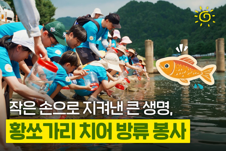 작은 손으로 지켜낸 큰 생명, 황쏘가리 치어 방류 봉사